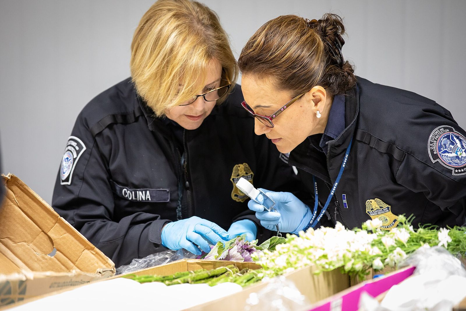 Customs officers examining inbound cargo