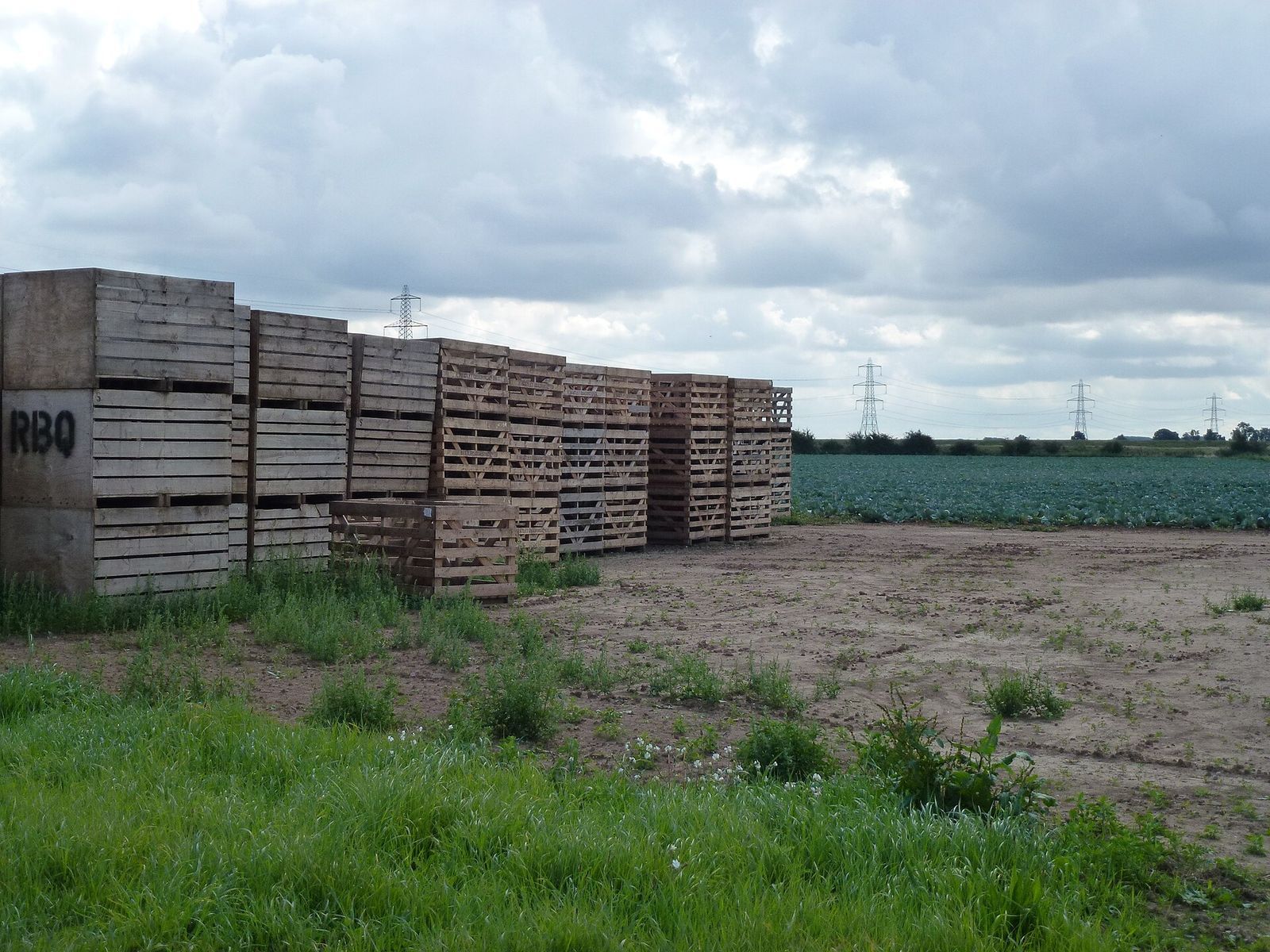 Stacked wooden pallets and export crating